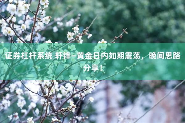 证券杠杆系统 轩锋—黄金日内如期震荡，晚间思路分享！