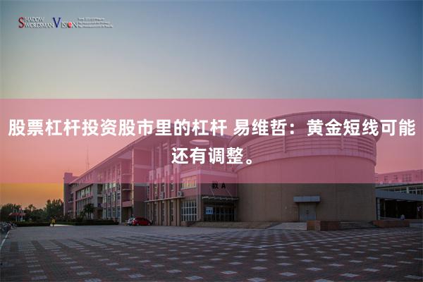 股票杠杆投资股市里的杠杆 易维哲：黄金短线可能还有调整。