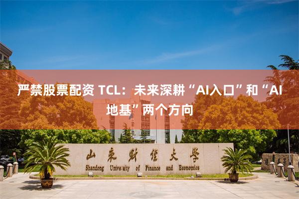 严禁股票配资 TCL：未来深耕“AI入口”和“AI地基”两个方向