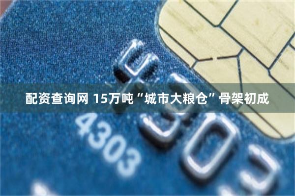 配资查询网 15万吨“城市大粮仓”骨架初成