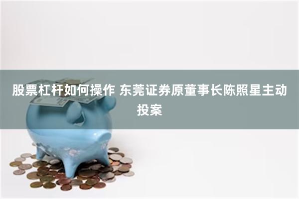 股票杠杆如何操作 东莞证券原董事长陈照星主动投案