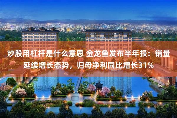 炒股用杠杆是什么意思 金龙鱼发布半年报：销量延续增长态势，归母净利同比增长31%