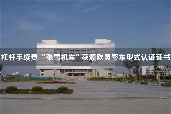 杠杆手续费 “张雪机车”获颁欧盟整车型式认证证书