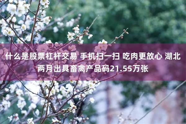 什么是股票杠杆交易 手机扫一扫 吃肉更放心 湖北两月出具畜禽产品码21.55万张