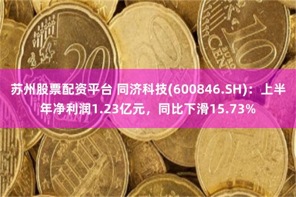 苏州股票配资平台 同济科技(600846.SH)：上半年净利润1.23亿元，同比下滑15.73%