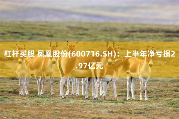杠杆买股 凤凰股份(600716.SH)：上半年净亏损2.97亿元