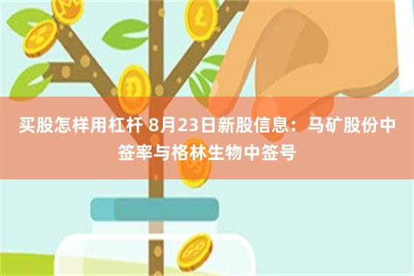 买股怎样用杠杆 8月23日新股信息：马矿股份中签率与格林生物中签号