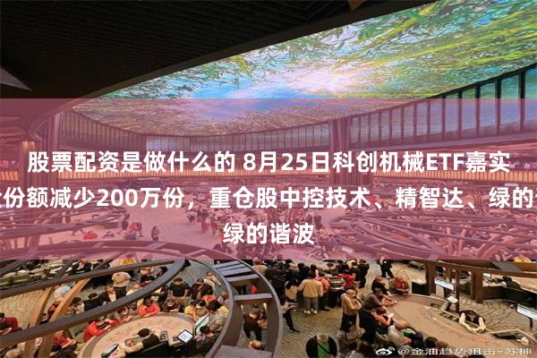 股票配资是做什么的 8月25日科创机械ETF嘉实基金份额减少200万份，重仓股中控技术、精智达、绿的谐波