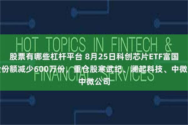 股票有哪些杠杆平台 8月25日科创芯片ETF富国基金份额减少600万份，重仓股寒武纪、澜起科技、中微公司