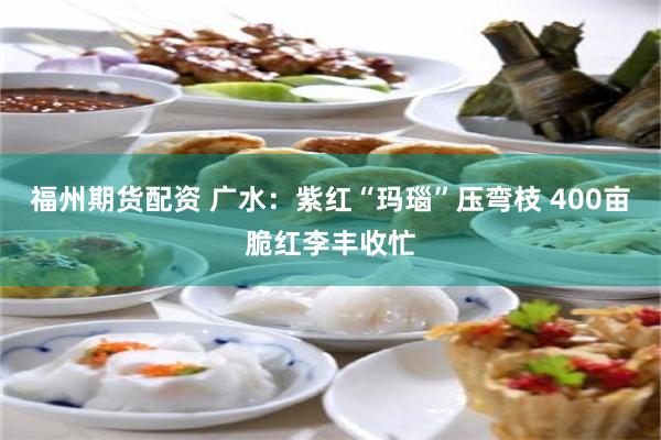 福州期货配资 广水：紫红“玛瑙”压弯枝 400亩脆红李丰收忙